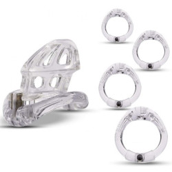  Cage de chasteté Beam 6 x 3cm Transparente
